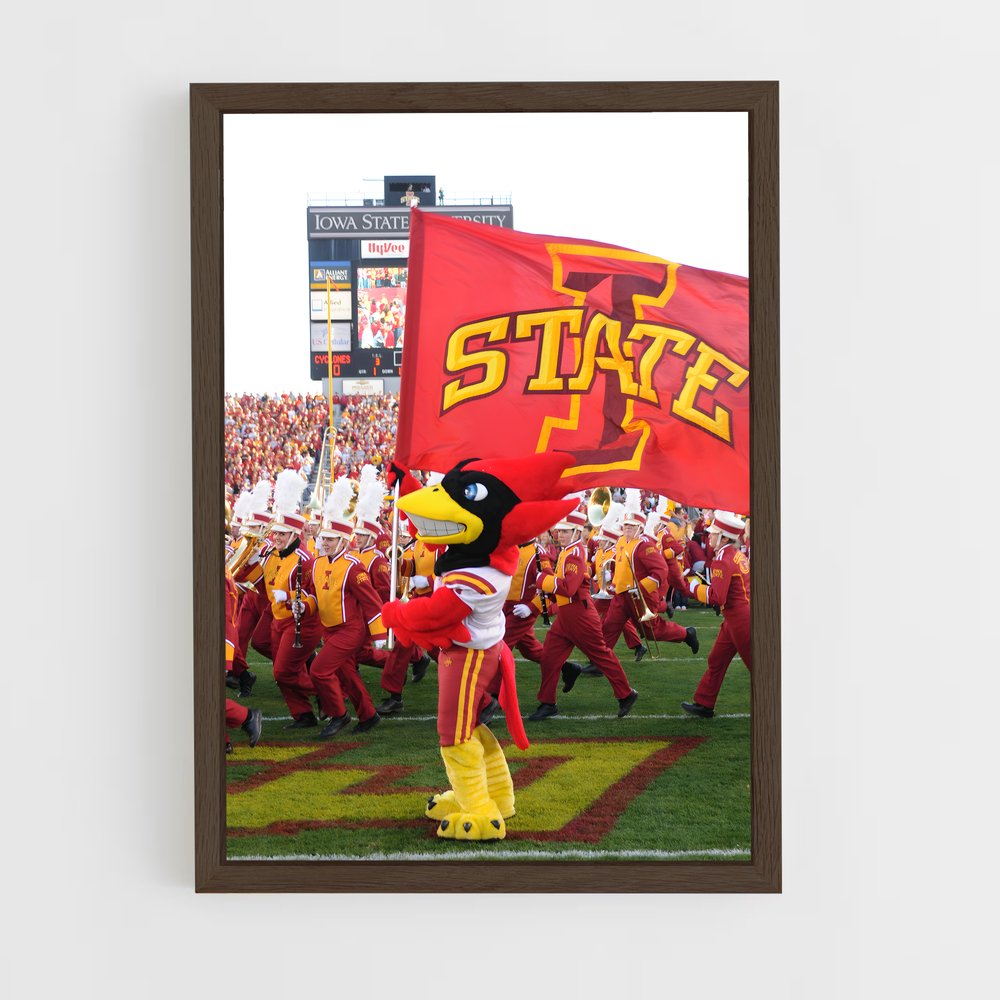 Poster Cyclones en Action – affiche Basketball (vue 5)